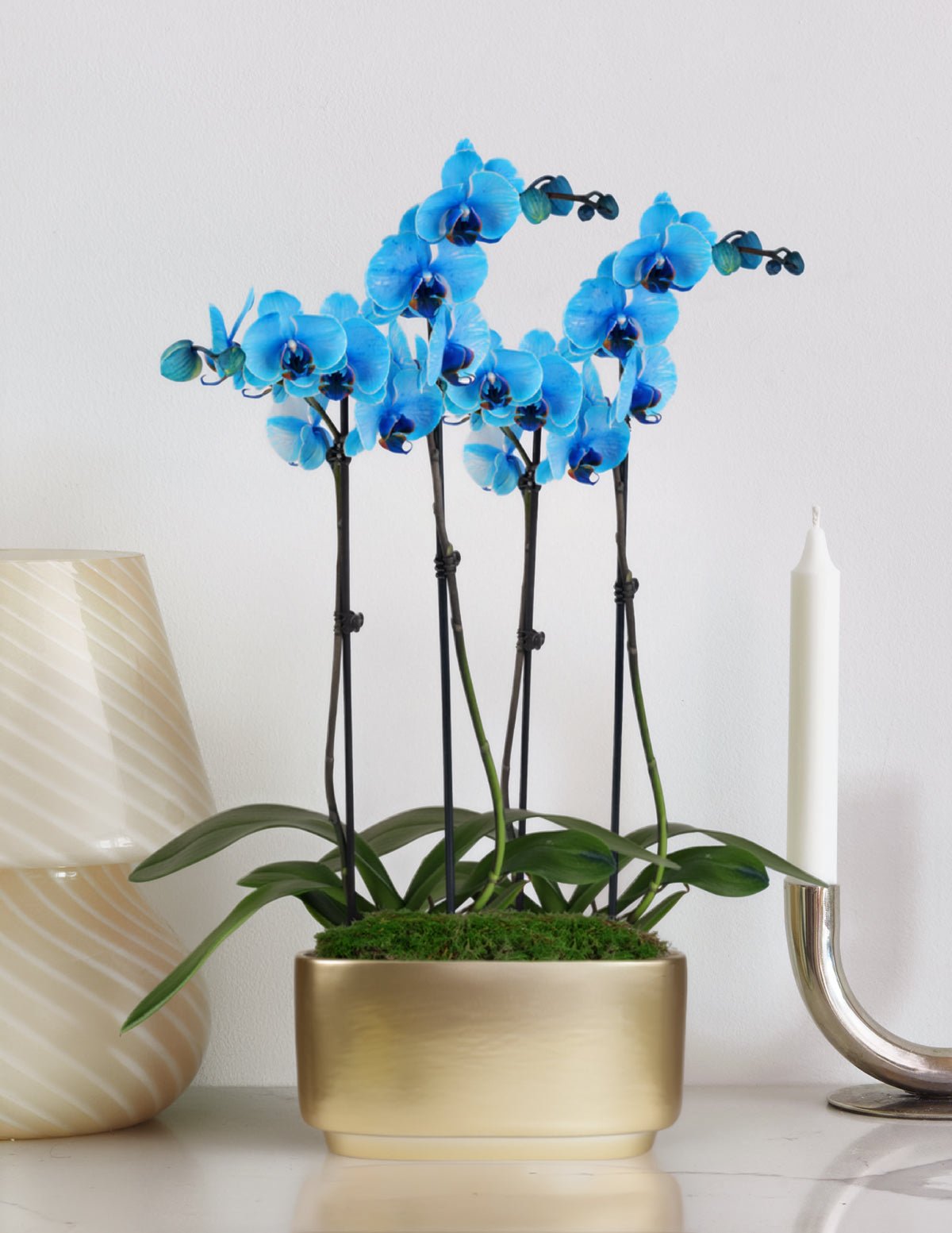 Double Planters