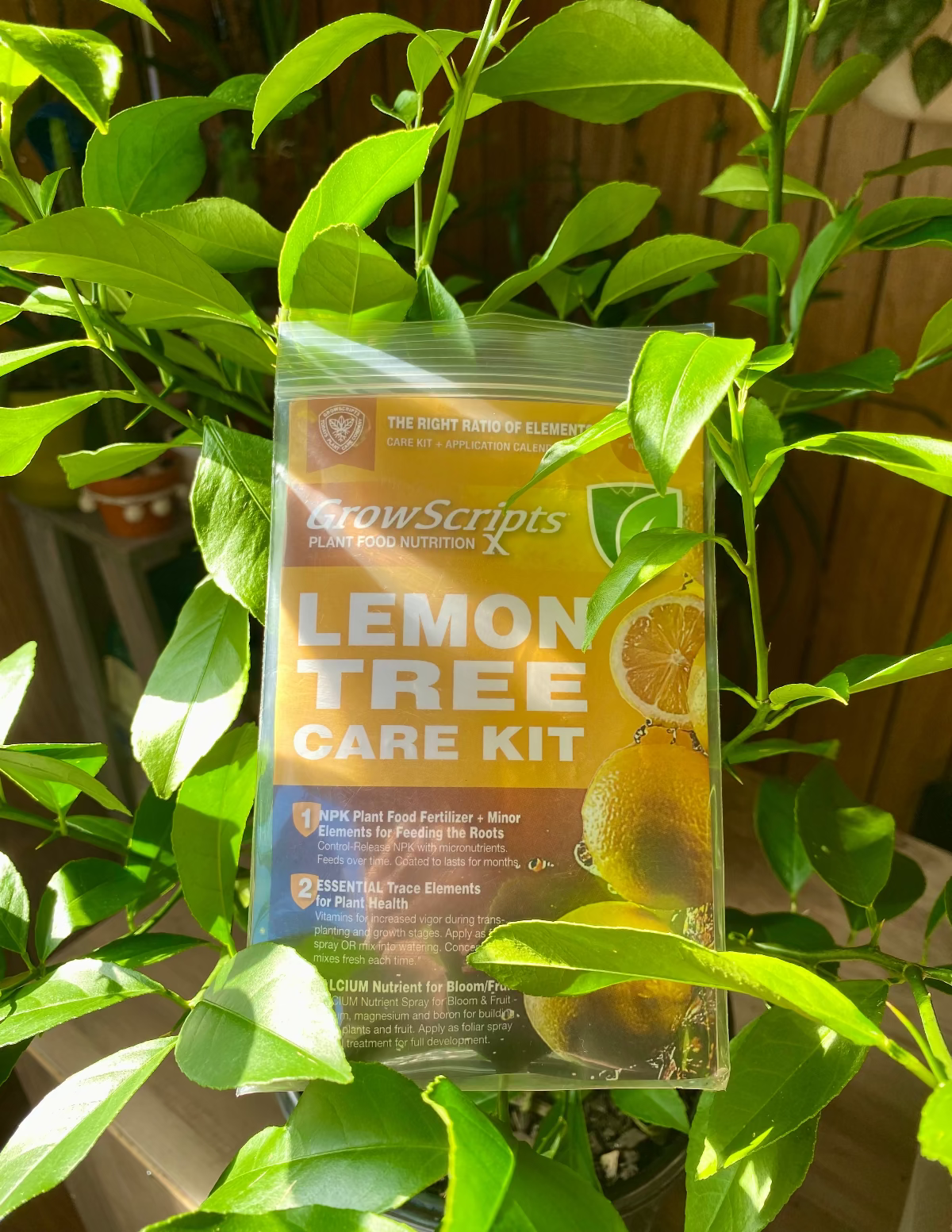Plant Care Kits