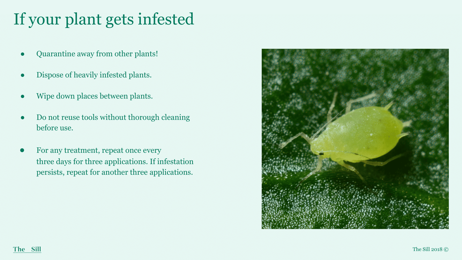 Slide 5