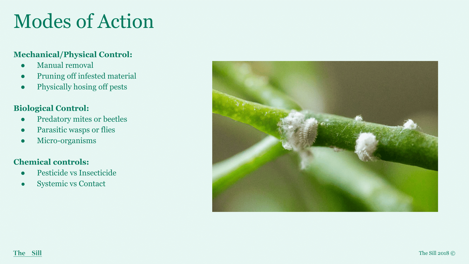 Slide 7