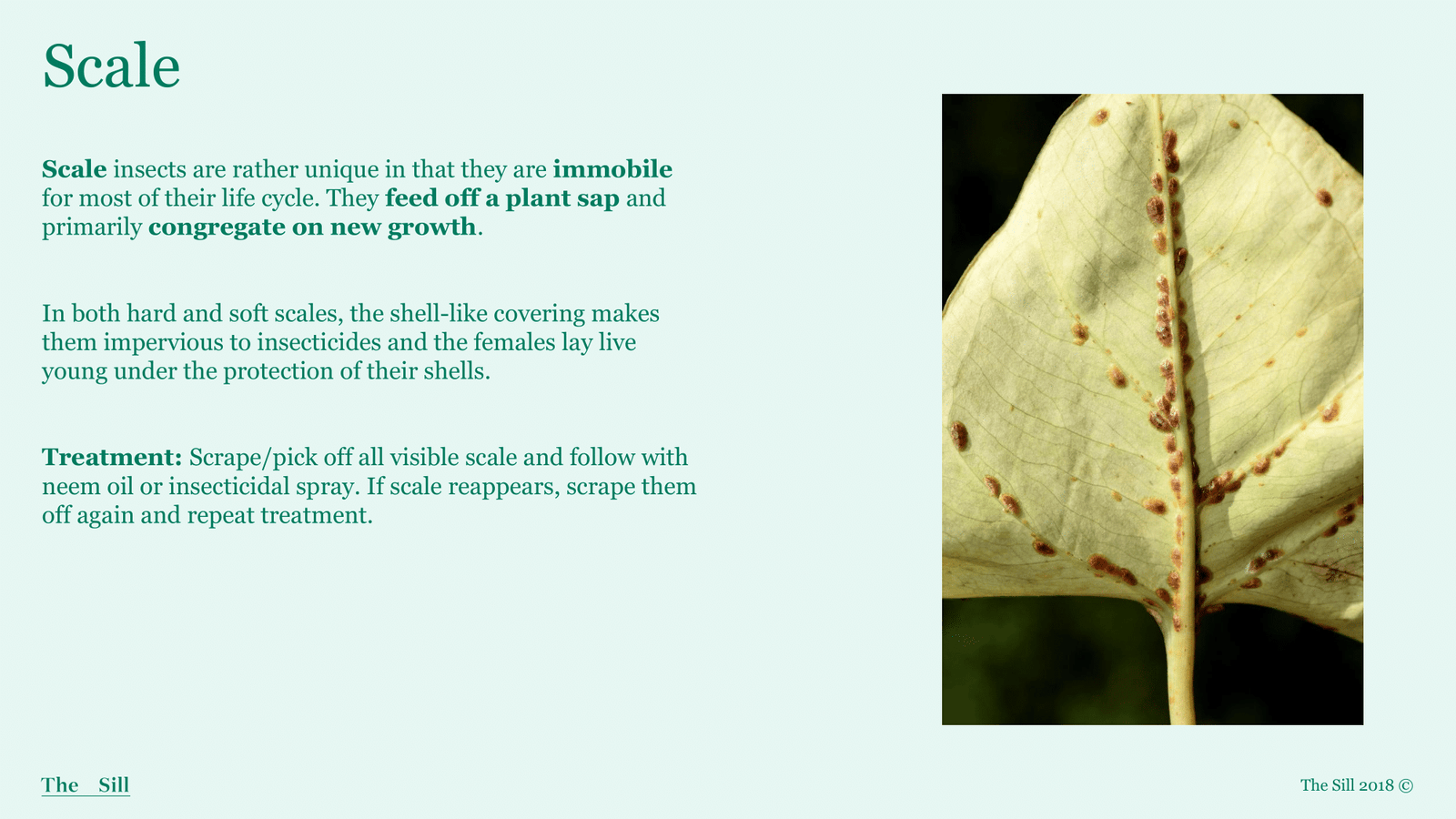Slide 3