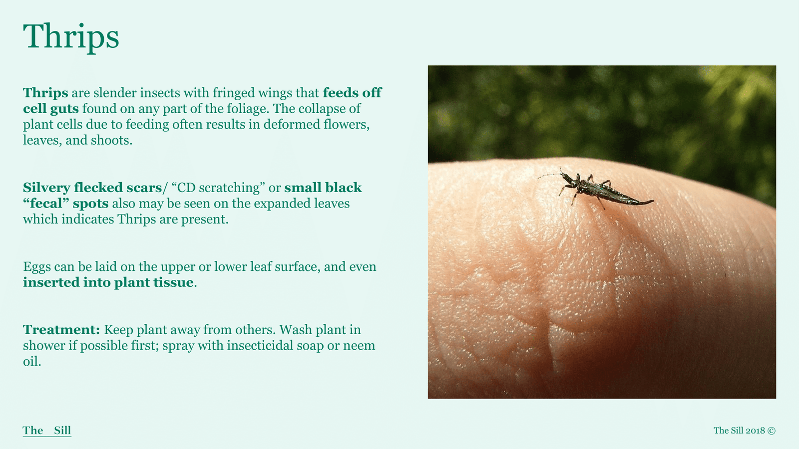 Slide 7
