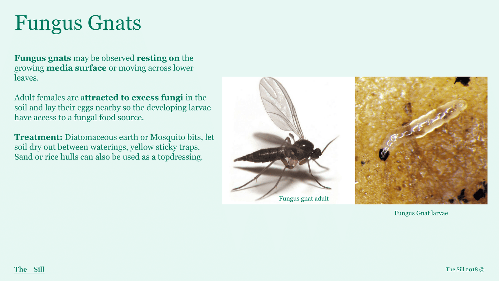Slide 9