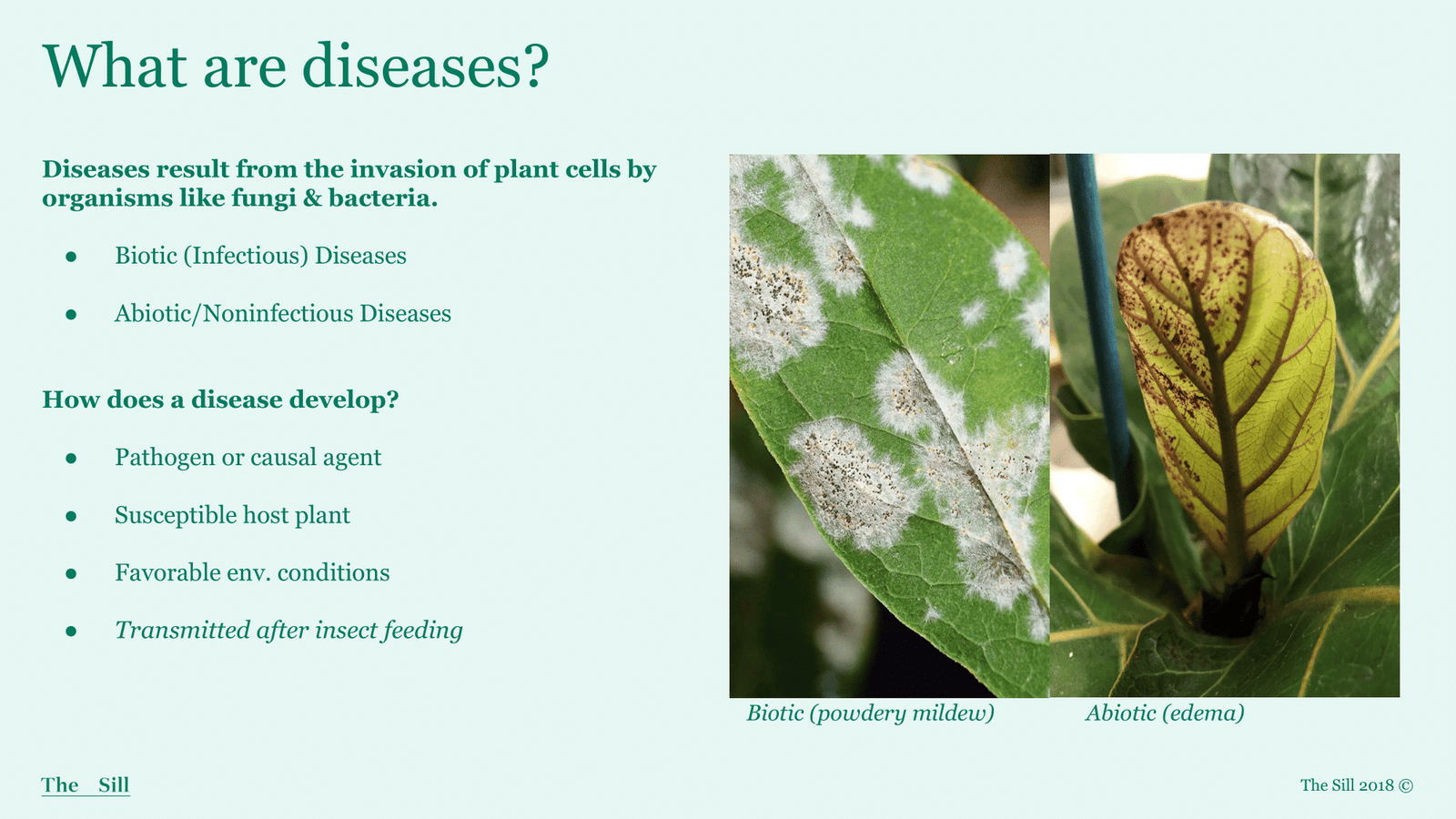 Slide 1