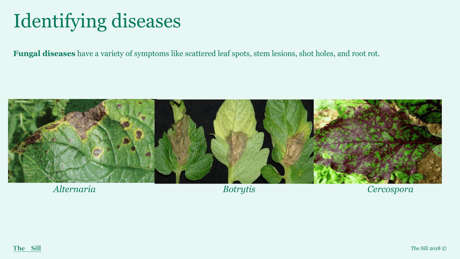 Slide 3