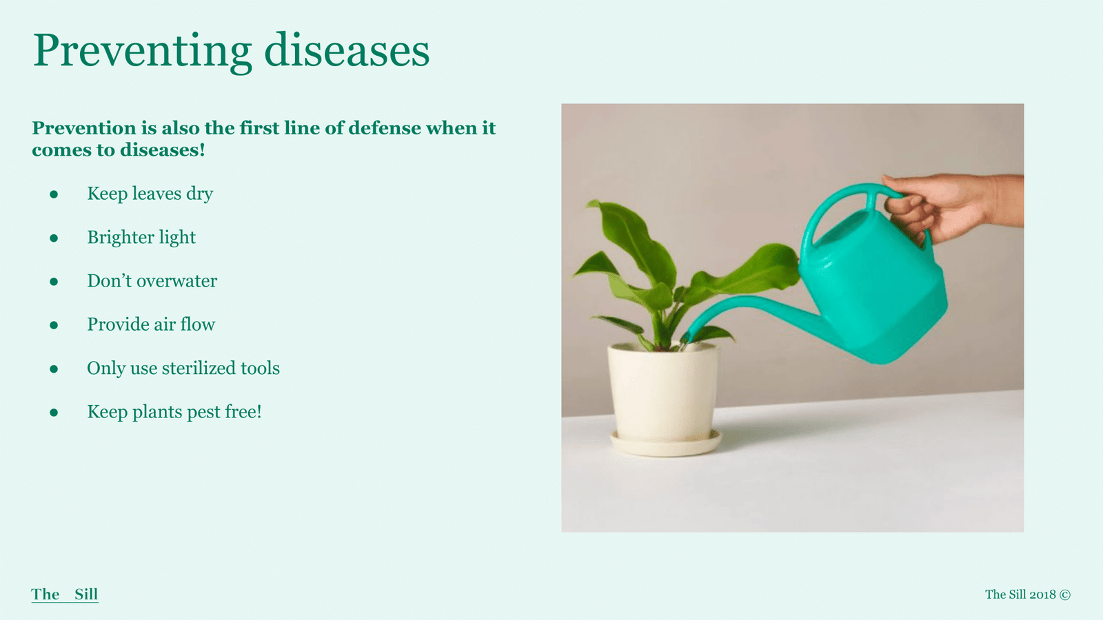 Slide 7