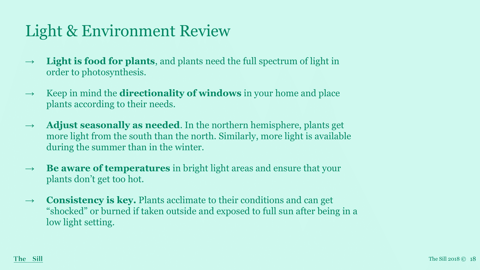 Slide 3
