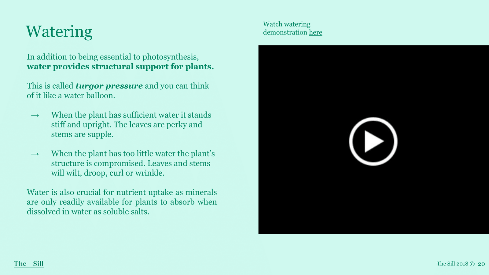 Slide 1