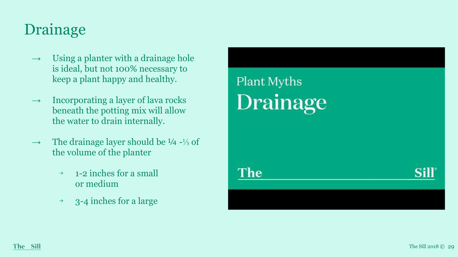 Slide 5