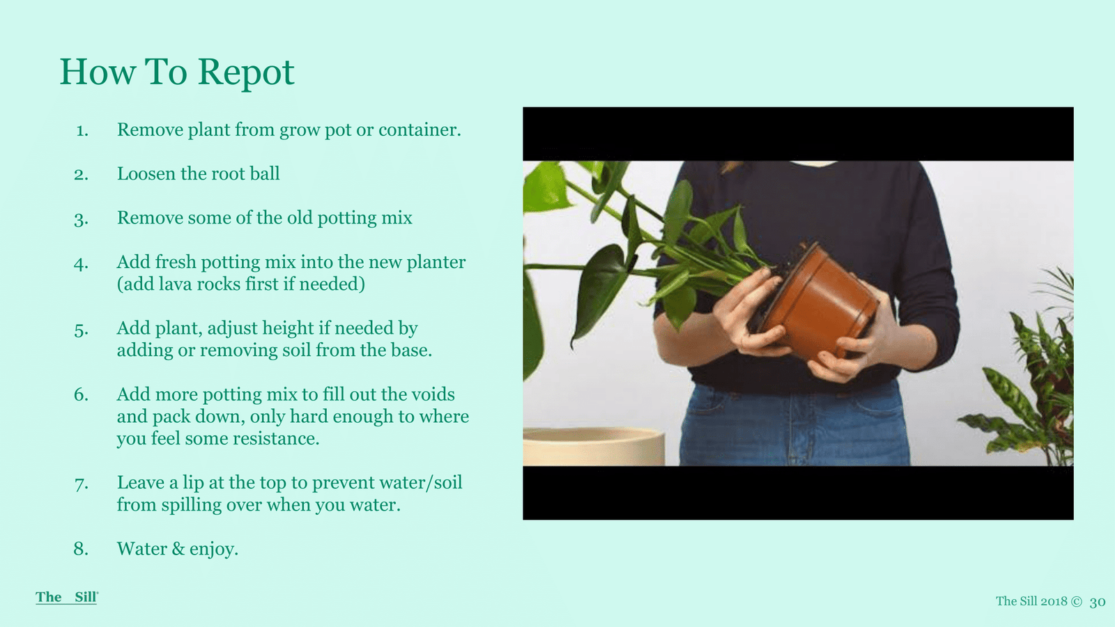 Slide 7