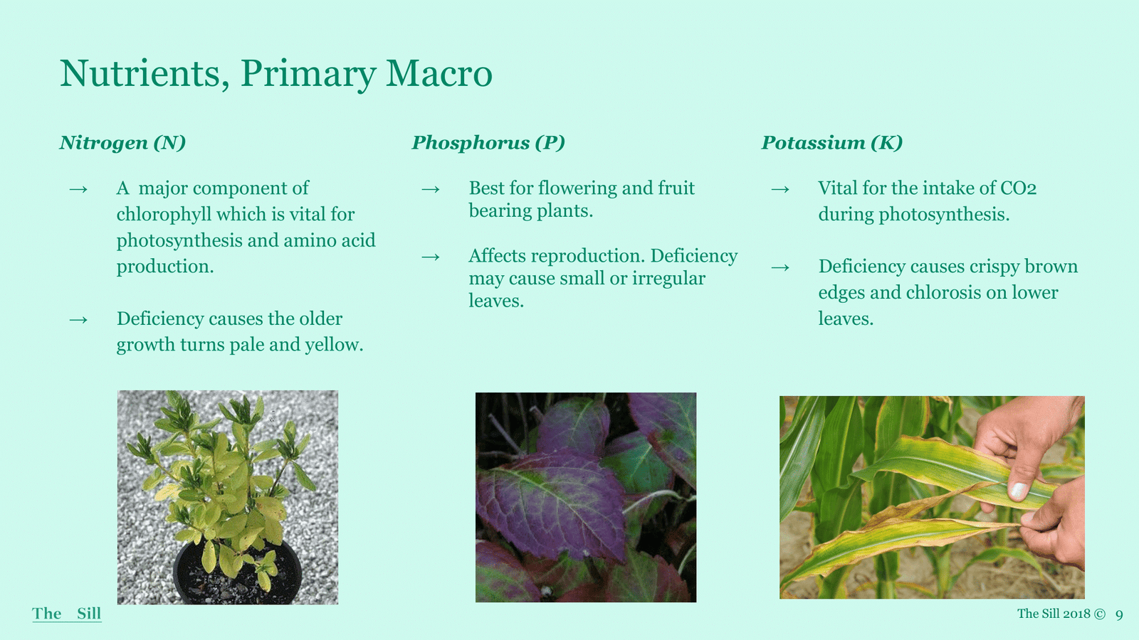 Slide 3