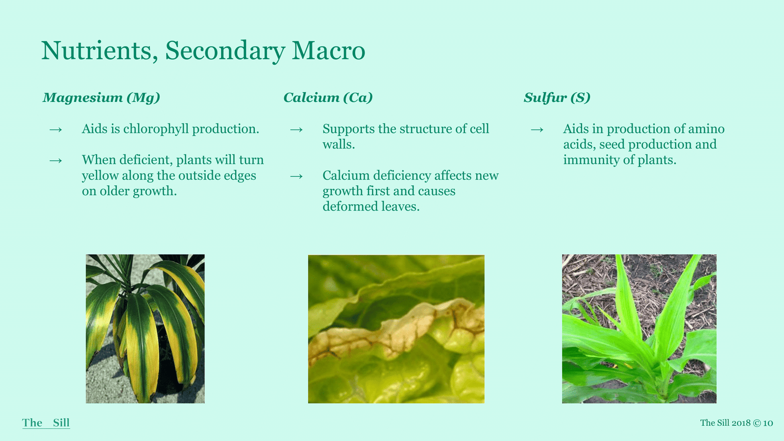 Slide 5