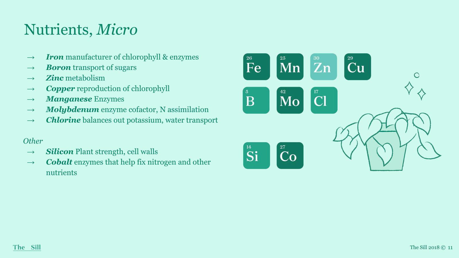 Slide 7