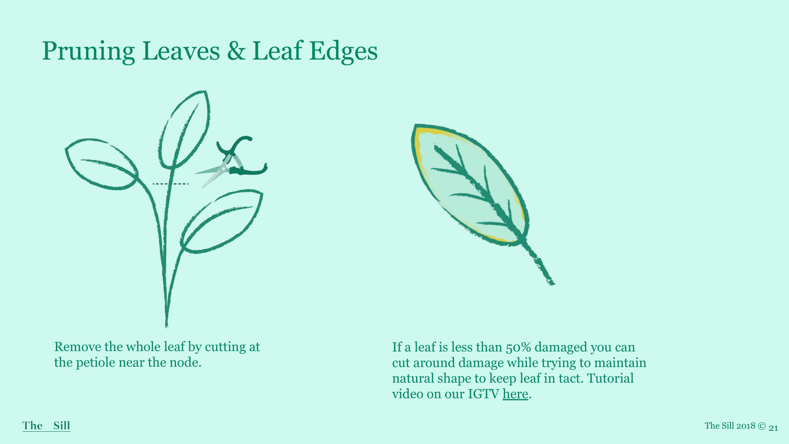 Slide 13