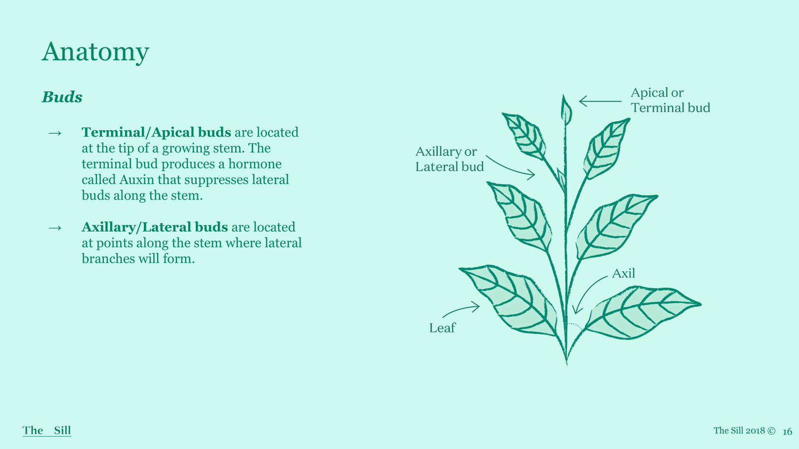 Slide 3