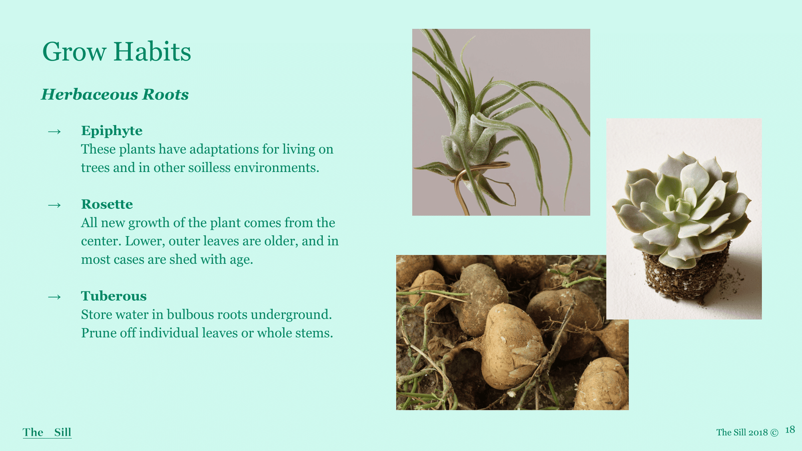 Slide 7