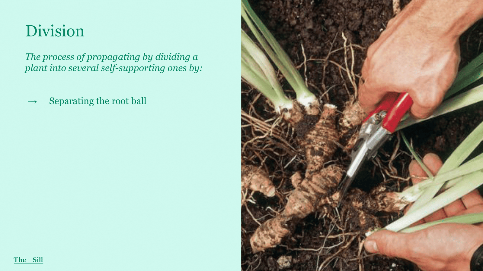 Slide 7