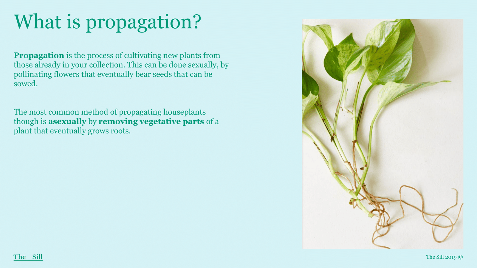 Slide 1