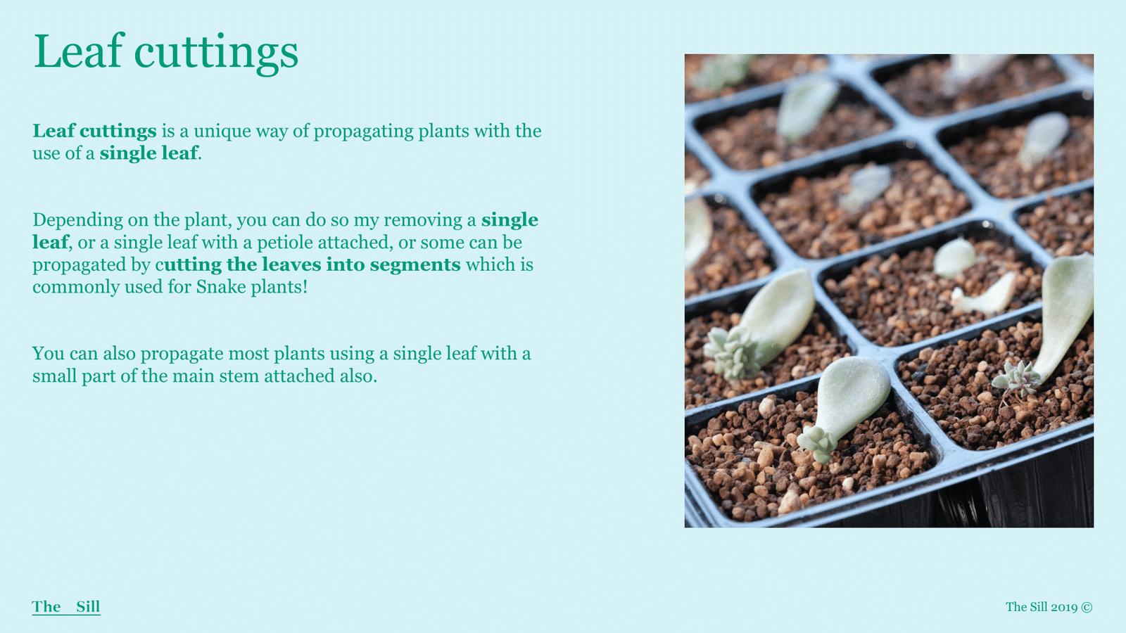 Slide 3
