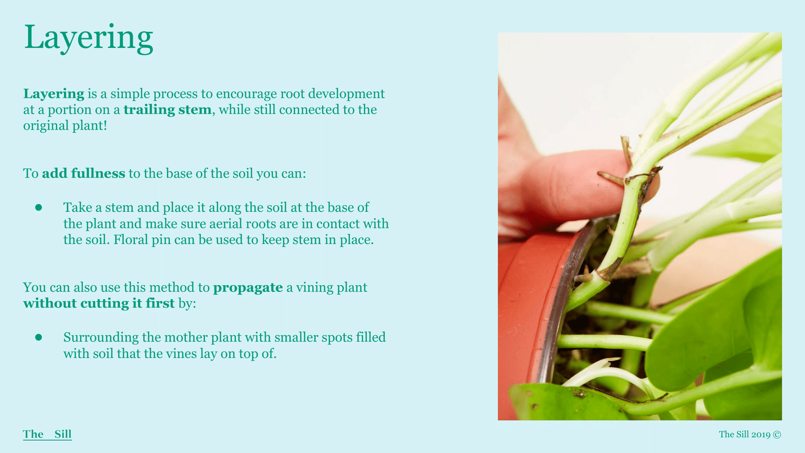 Slide 5