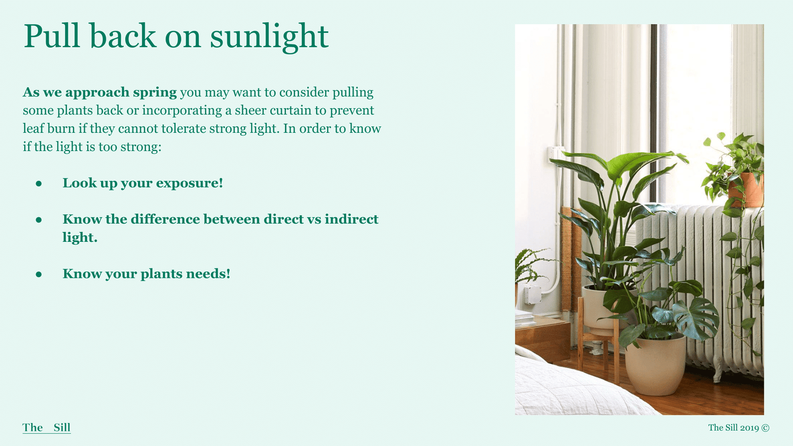 Slide 3