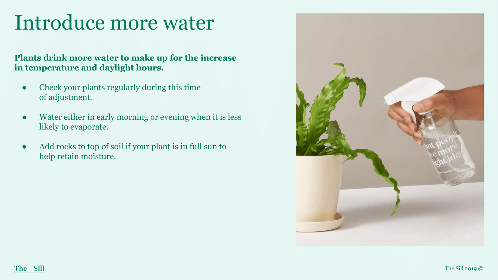 Slide 1