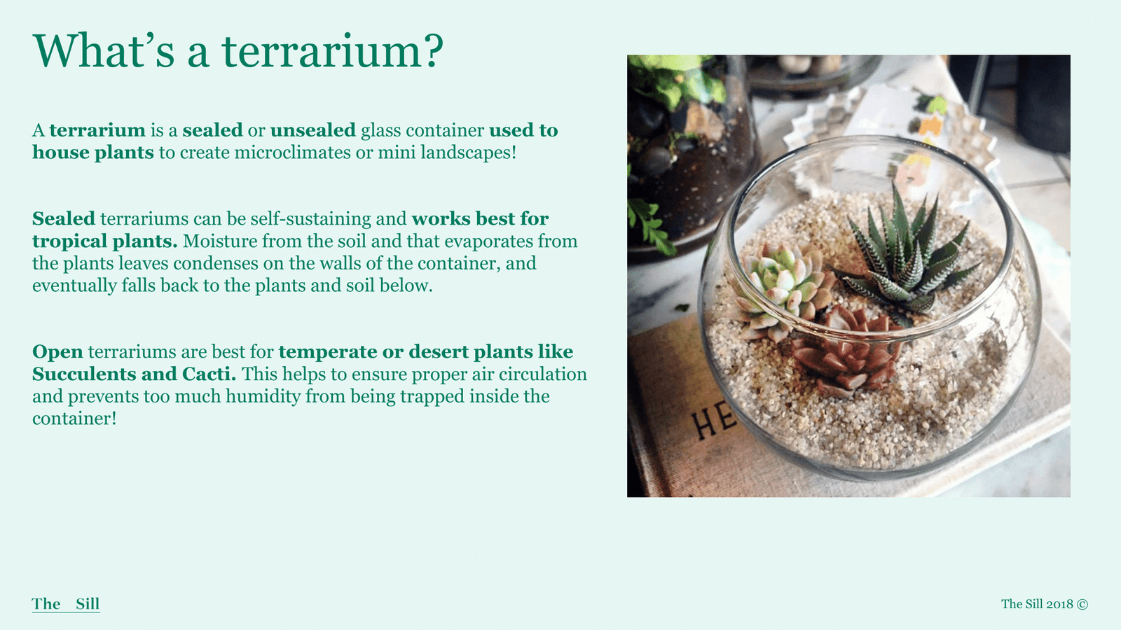 Slide 3