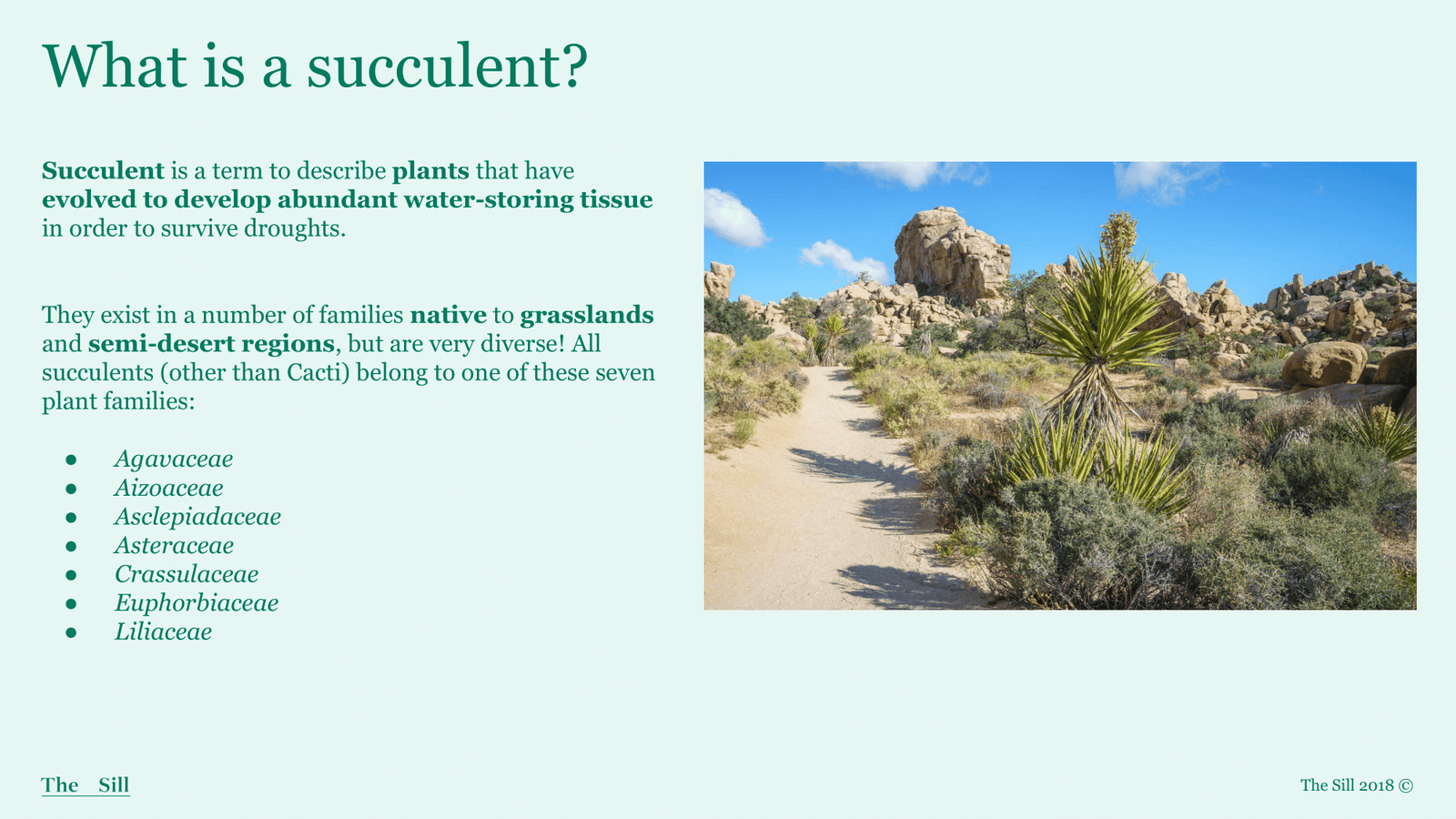 Slide 1