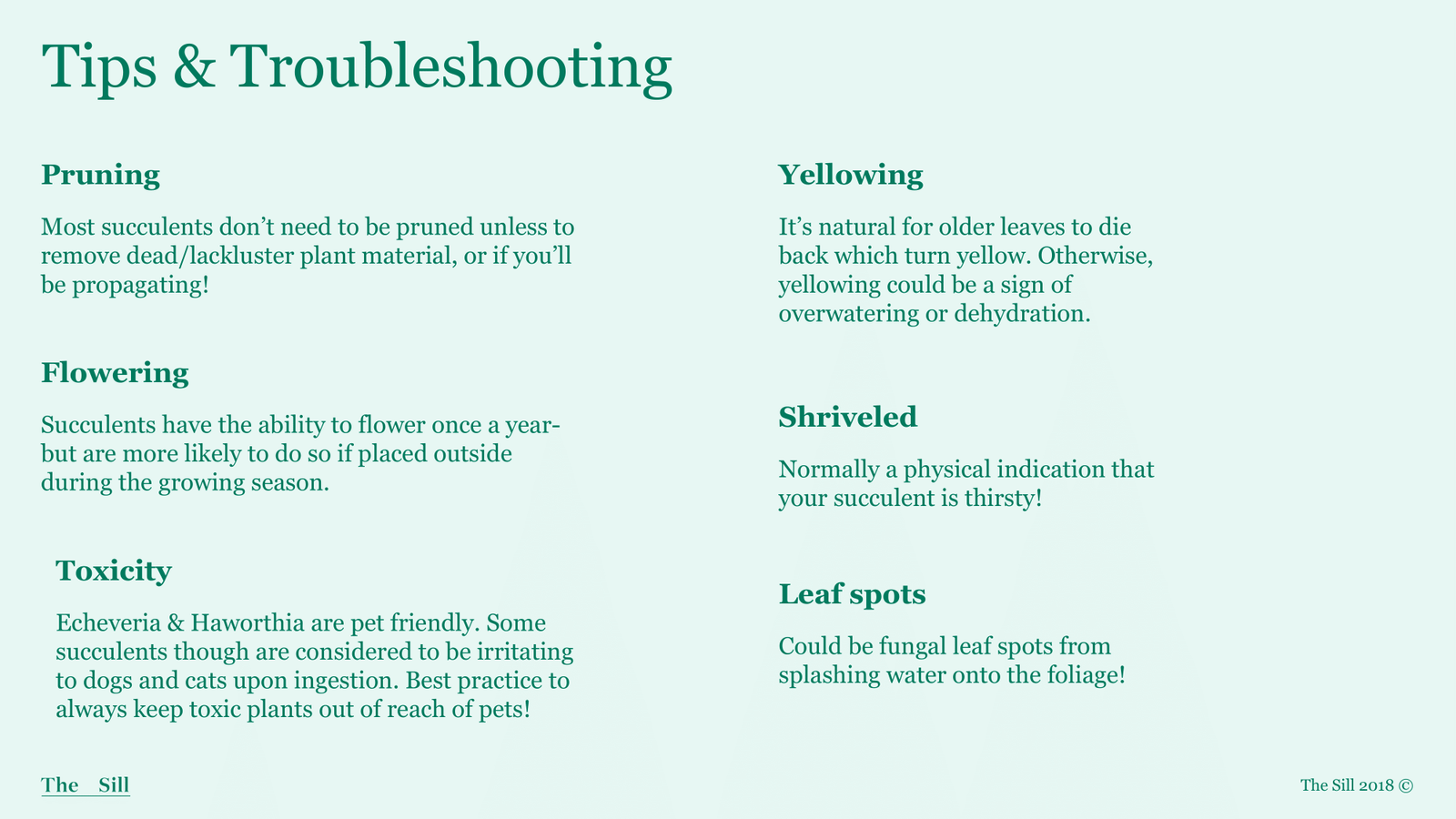 Slide 1