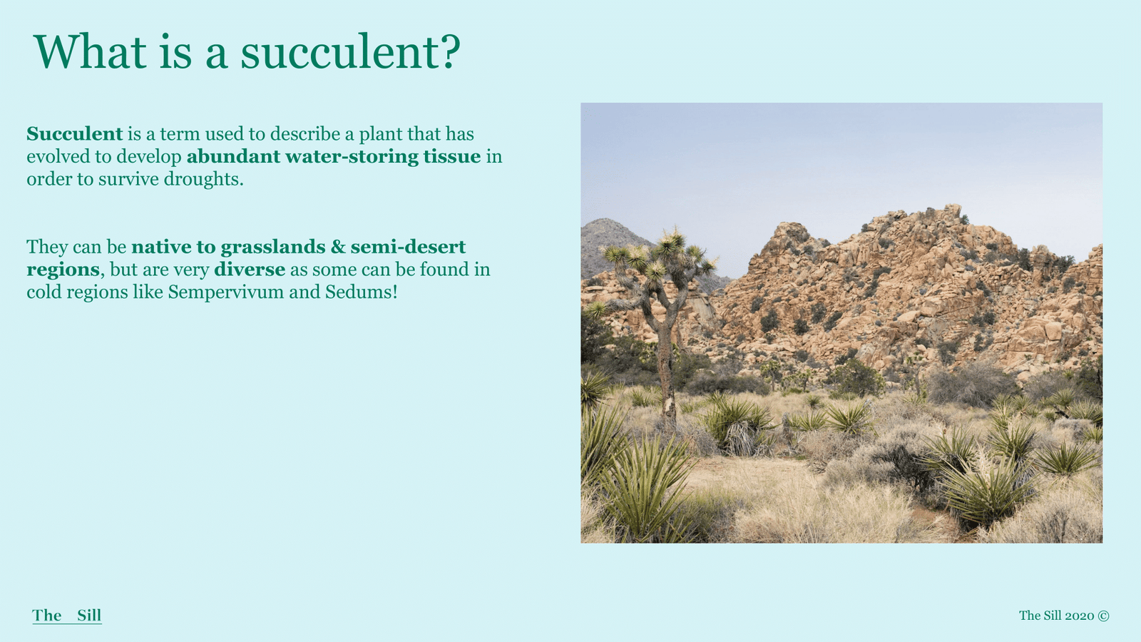 Slide 1