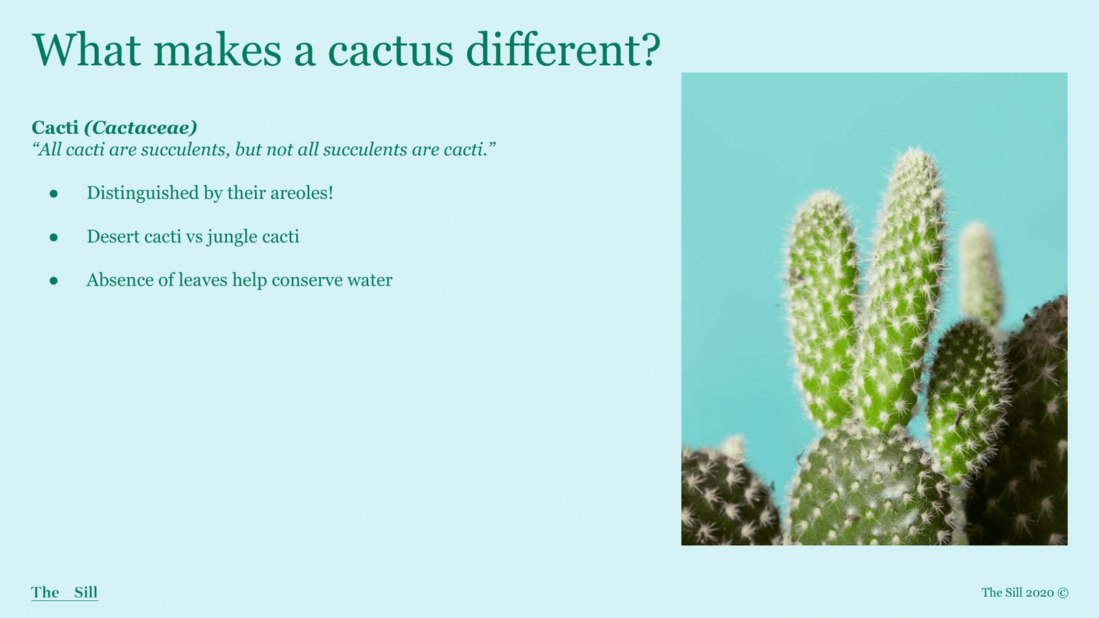 Slide 3
