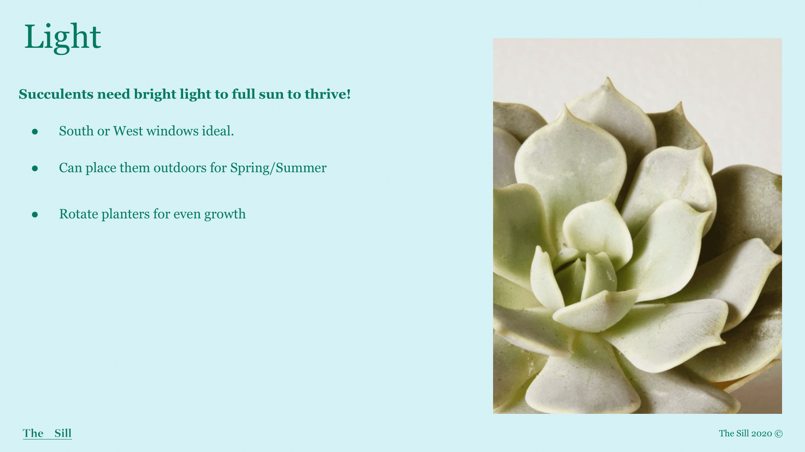 Slide 1