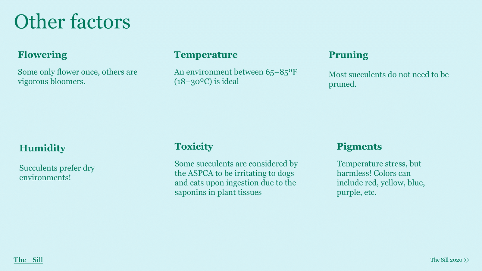 Slide 11