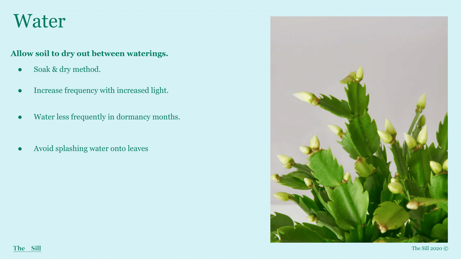 Slide 3