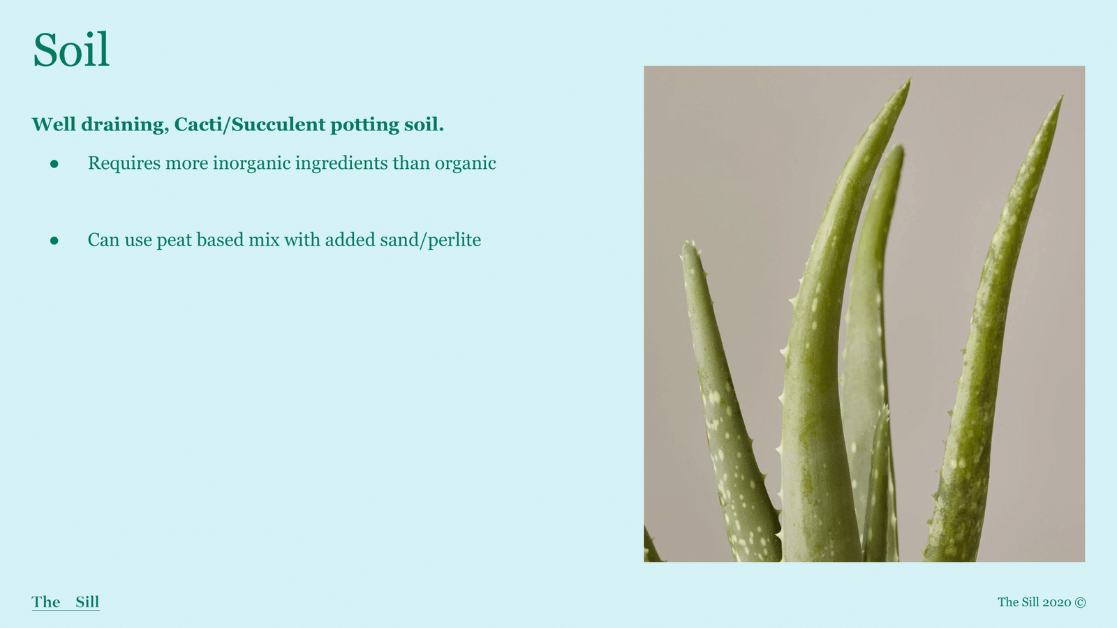 Slide 5