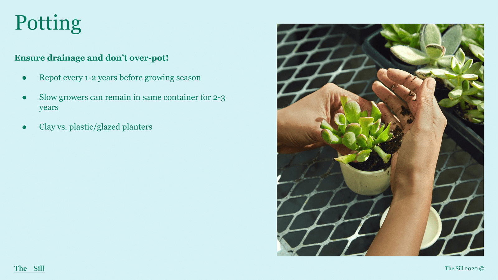 Slide 7