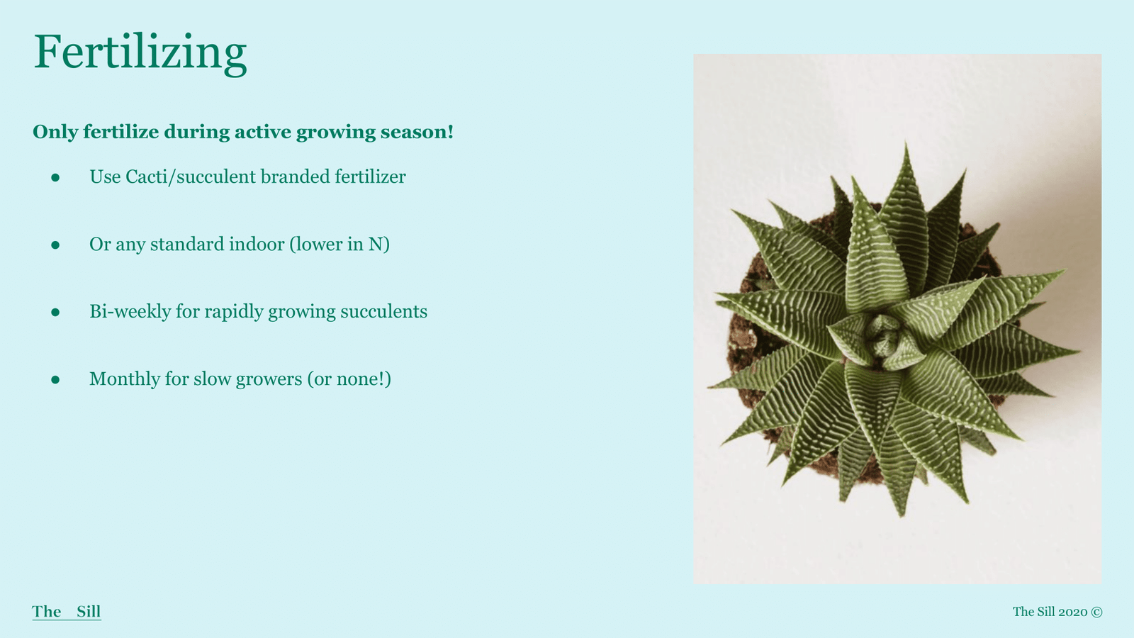 Slide 9