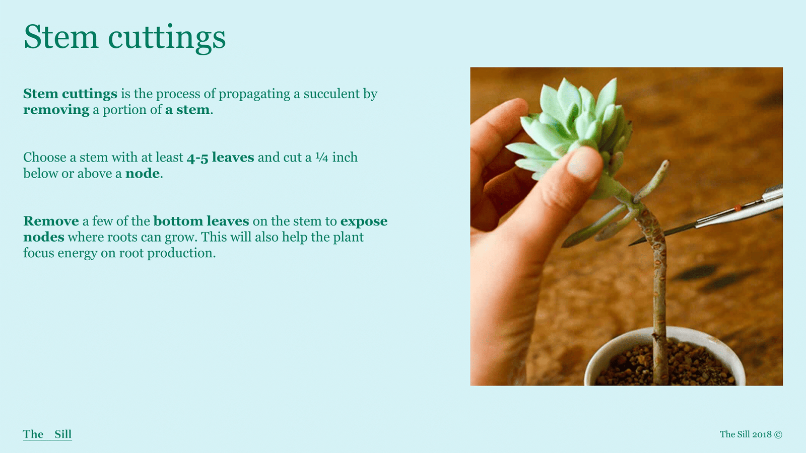 Slide 3