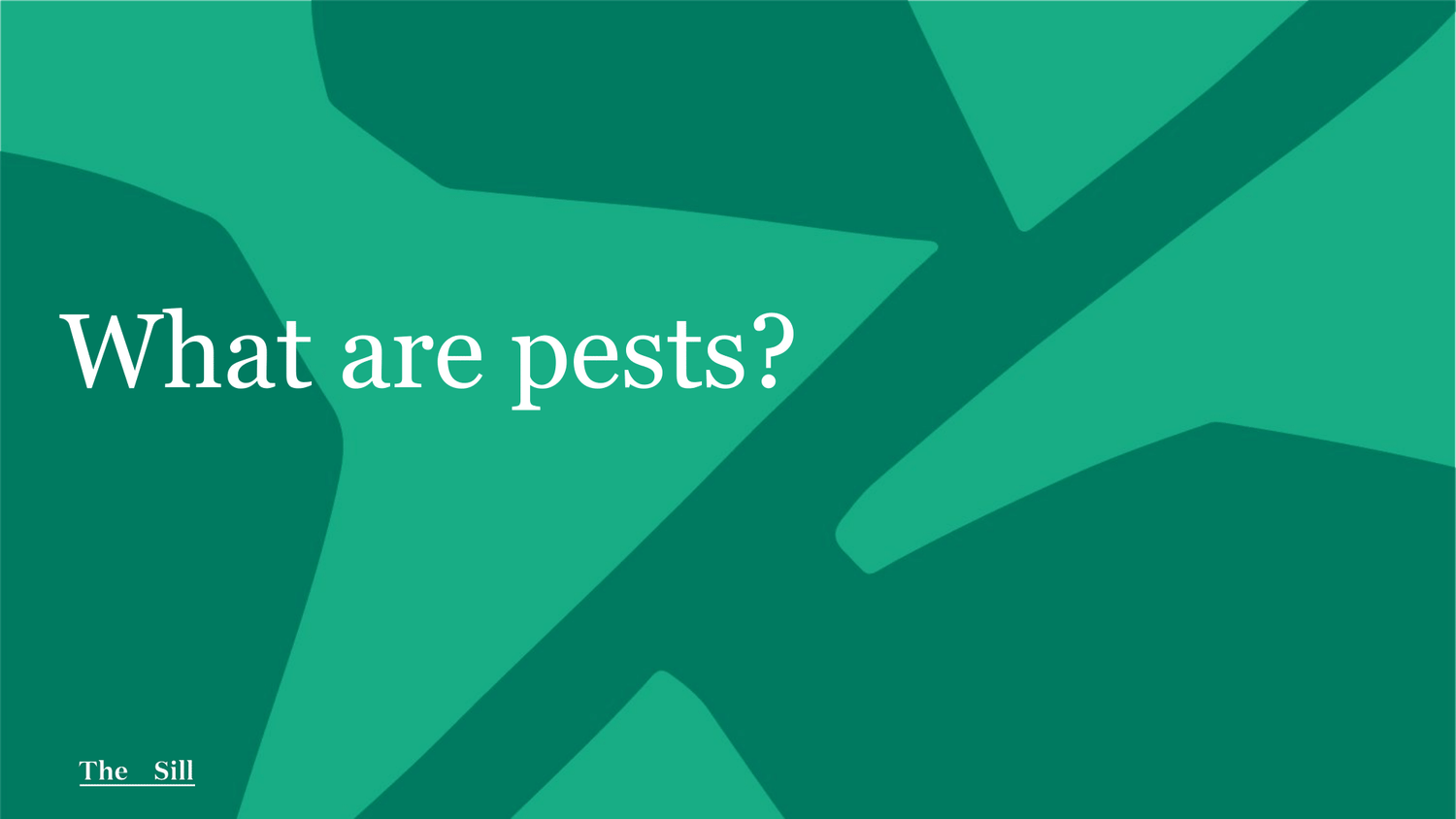 What Are Pests?