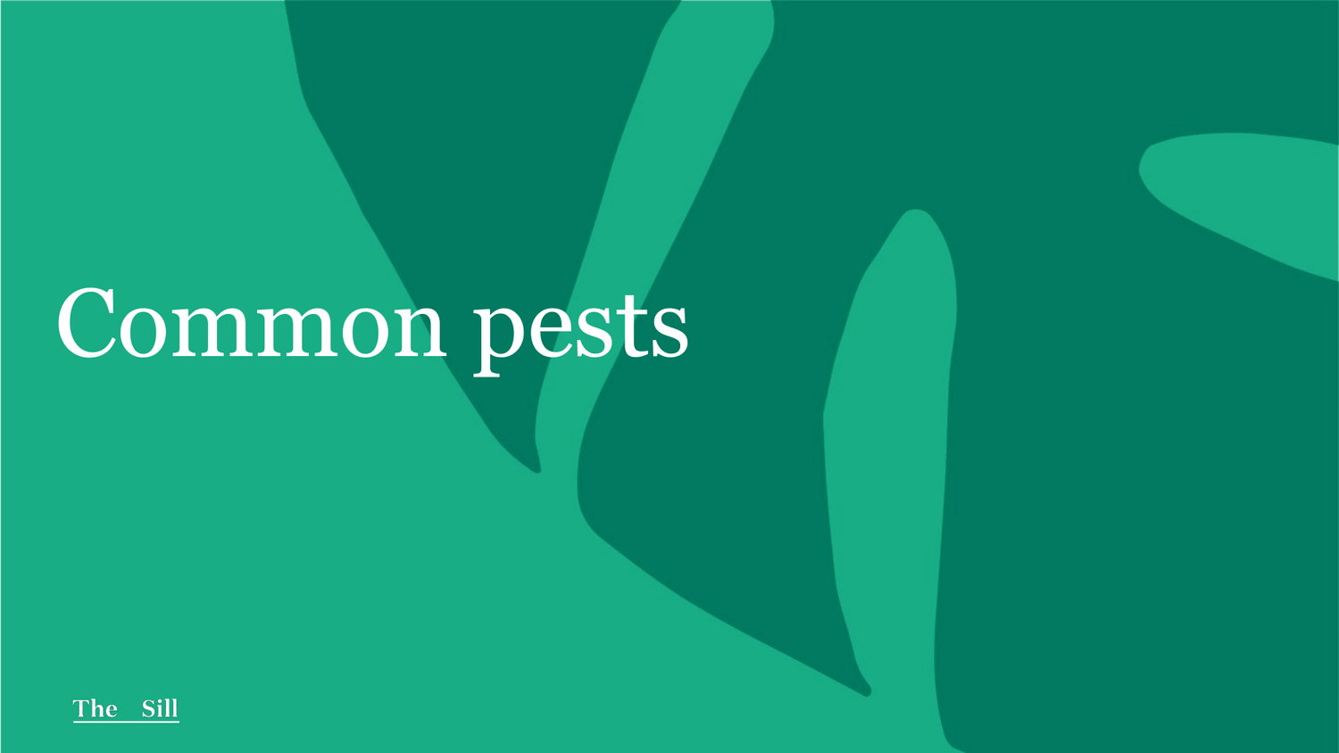 Common Pests