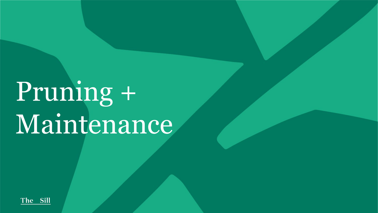 Pruning + Maintenance