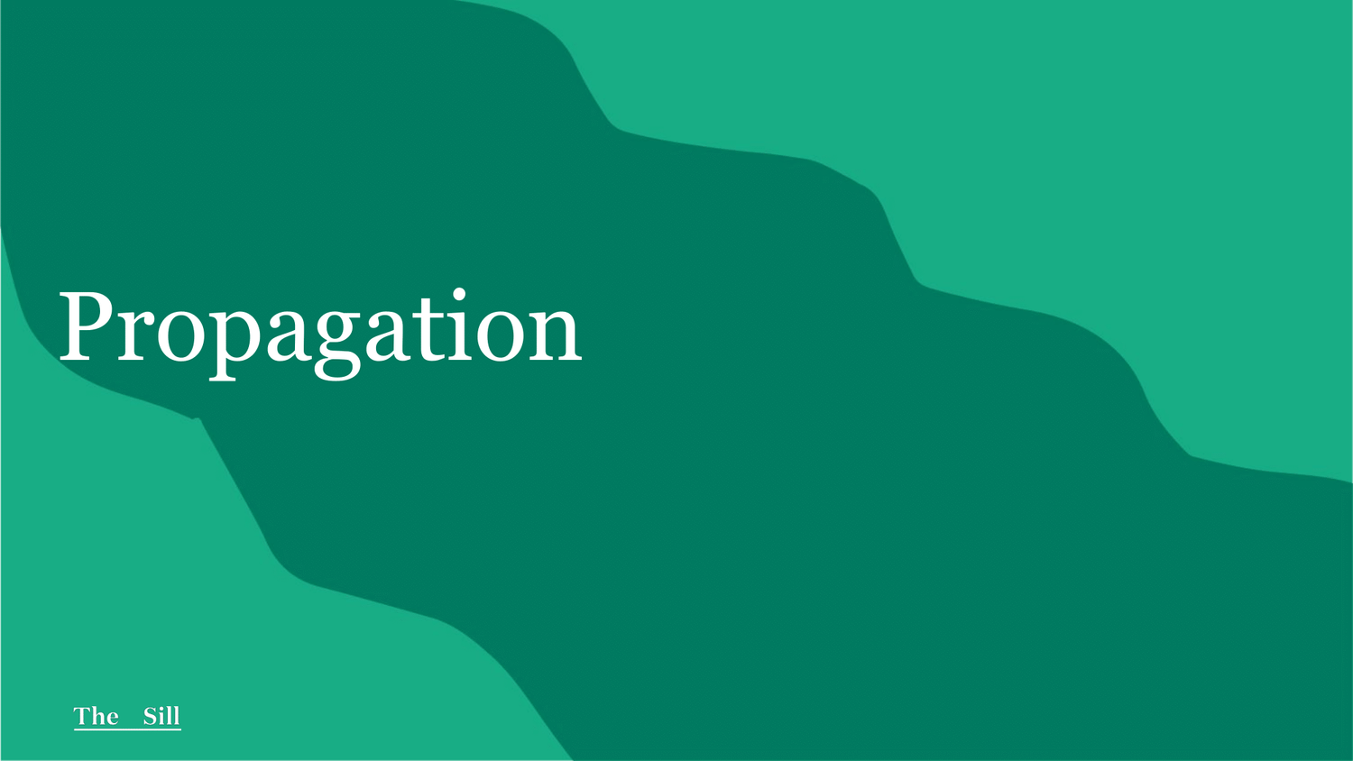 Propagation