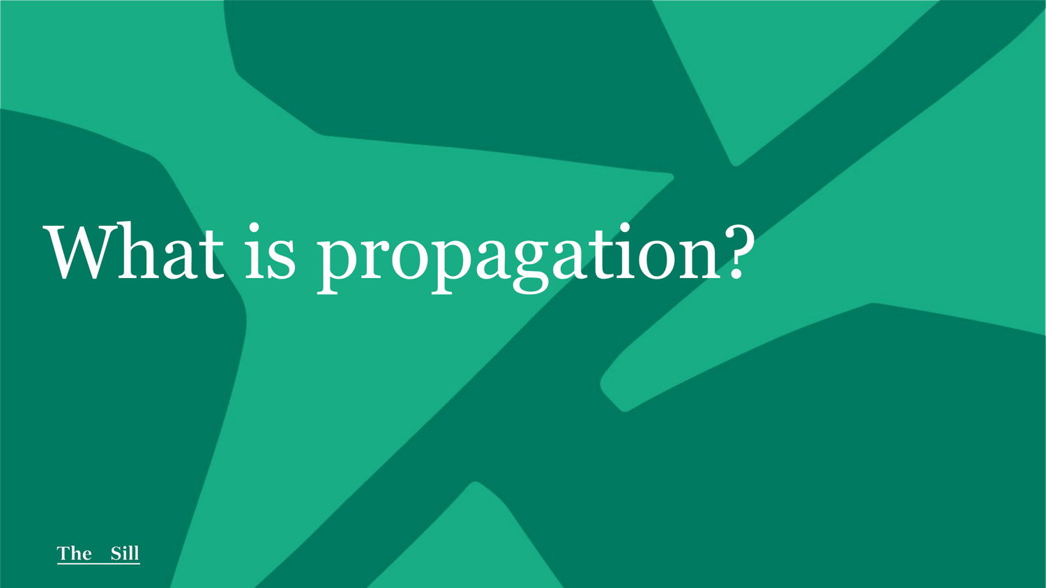 What is Propagation?