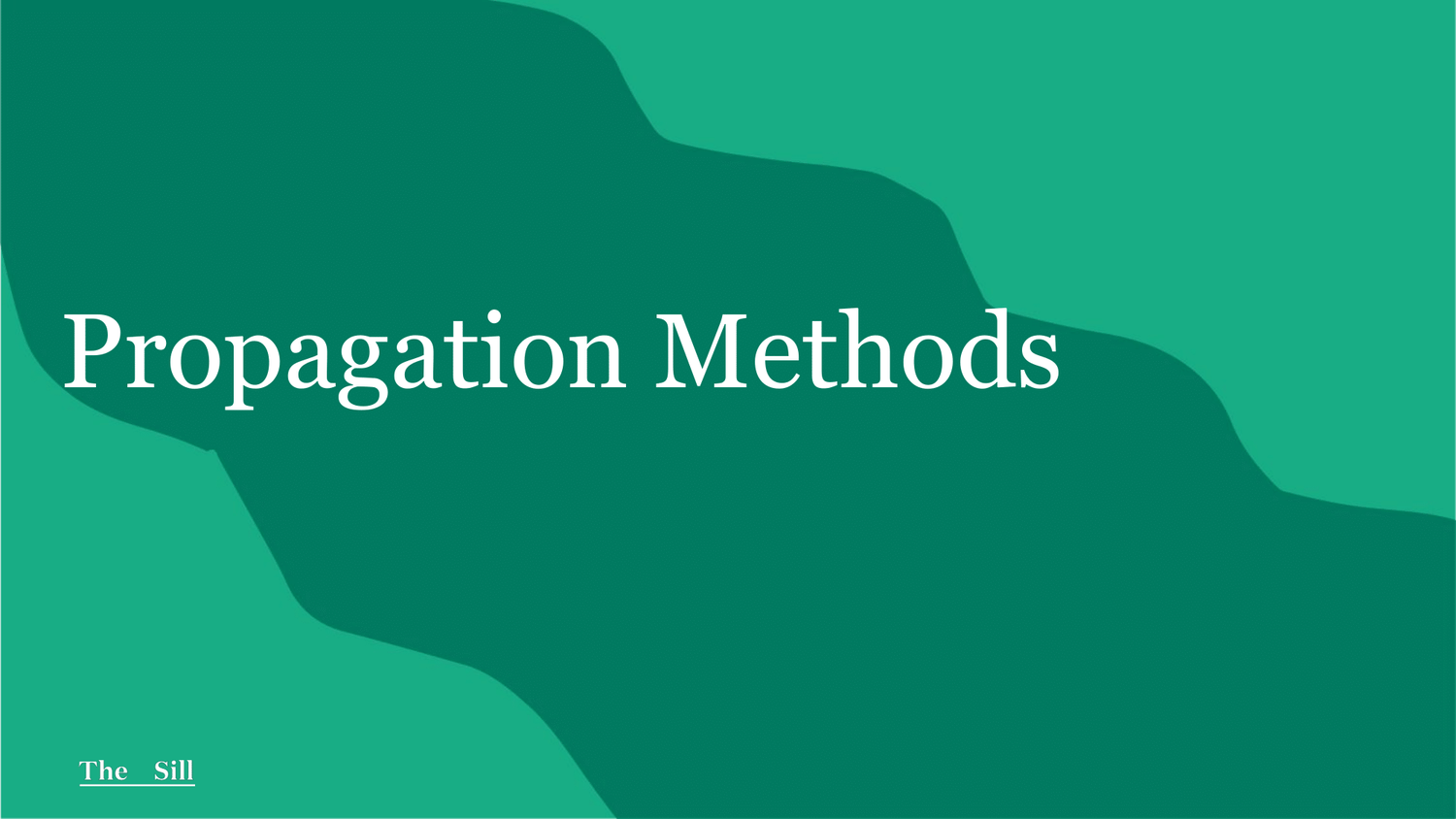 Propagation Methods