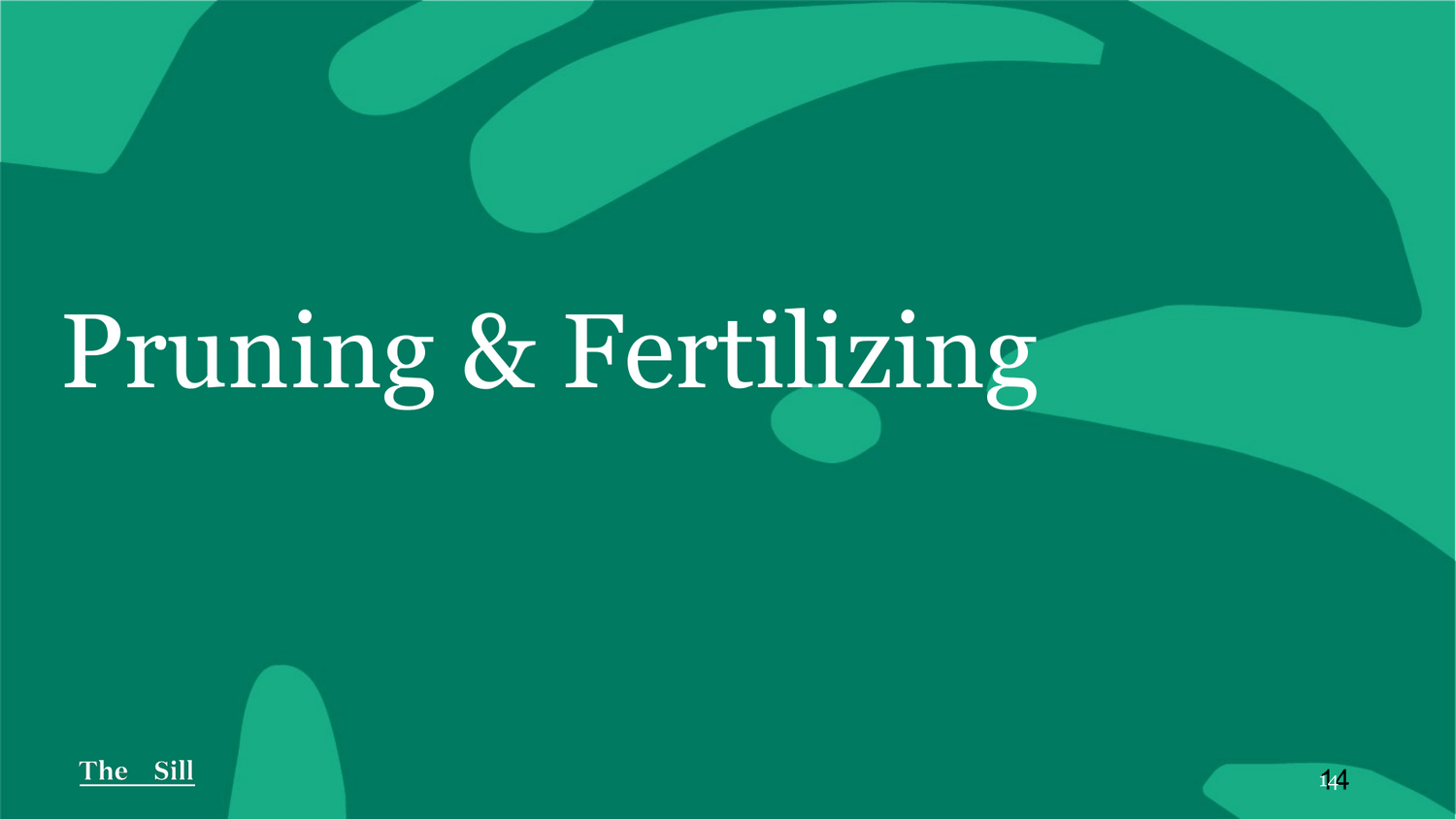Pruning & Fertilizing