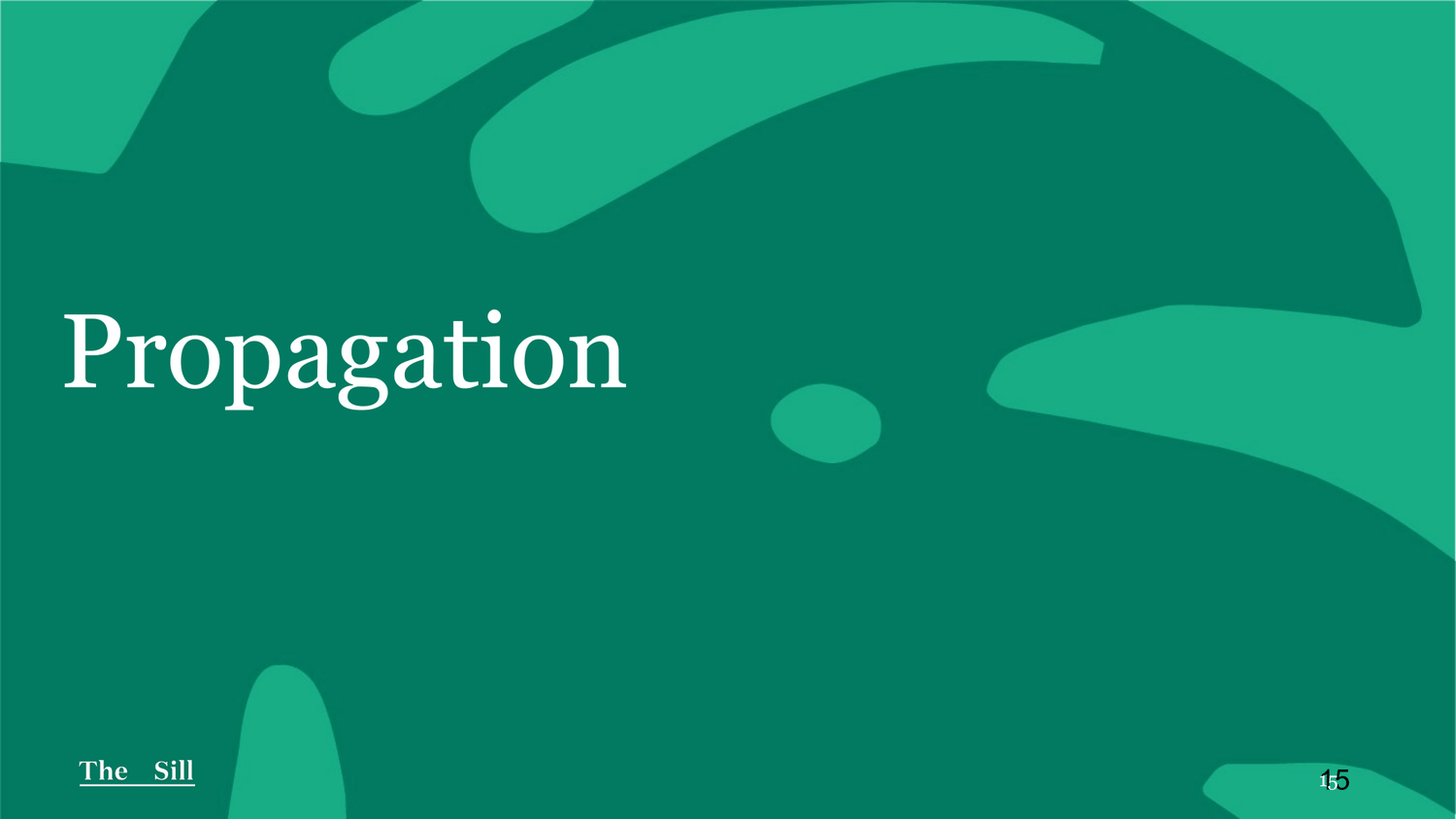 Propagation