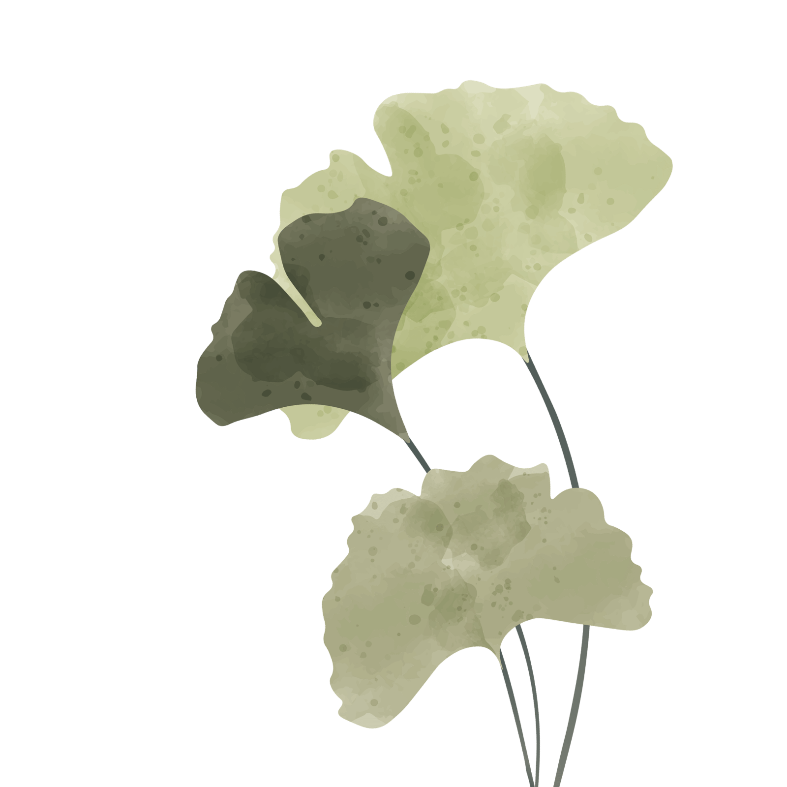 Leaf Decor