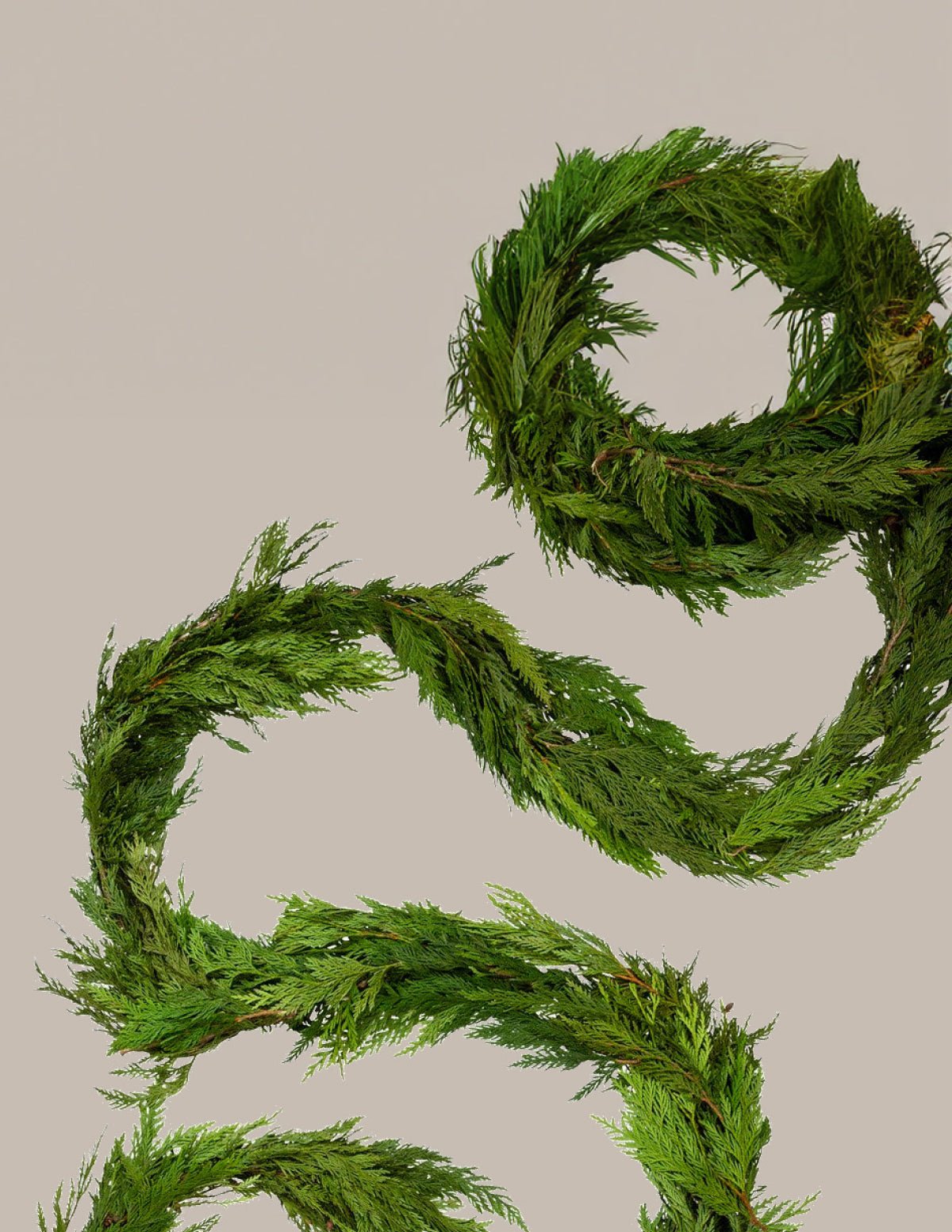 25 Ft. Cedar Garland Hover