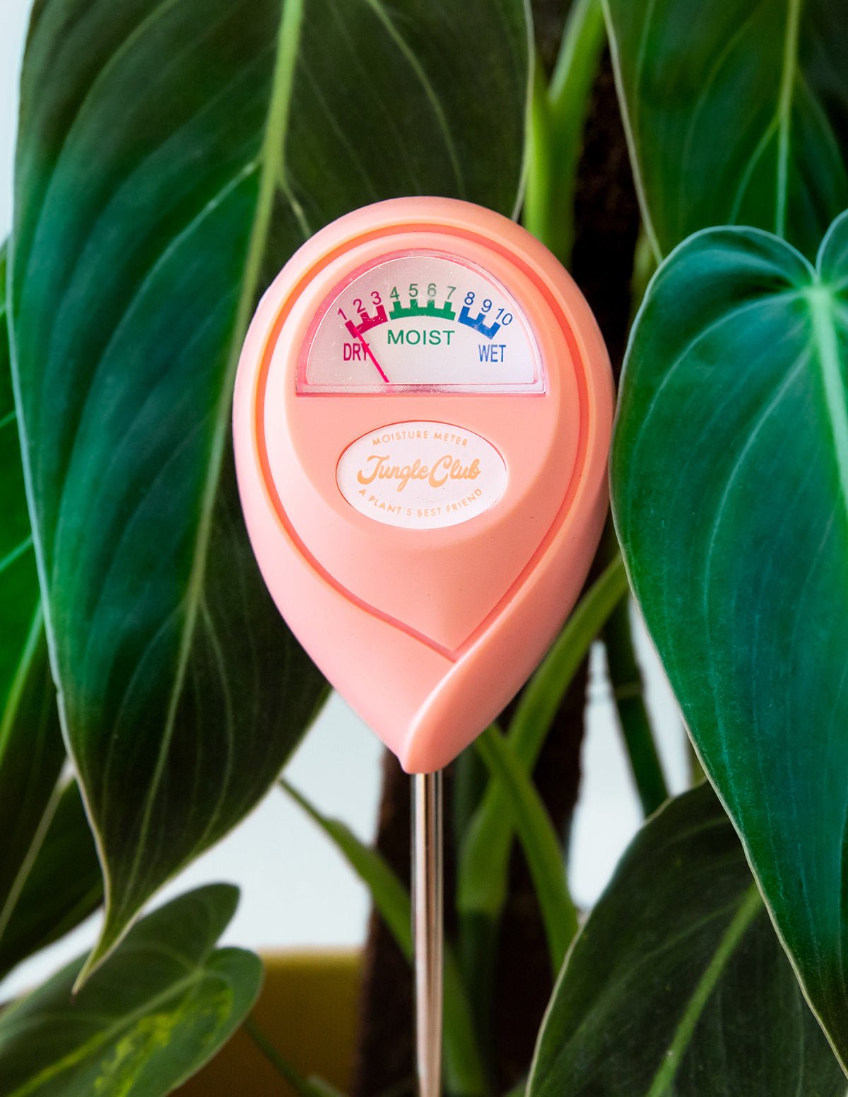 Moisture Meter Hover