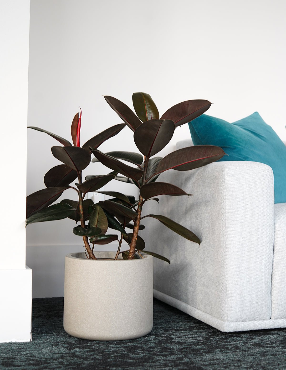 Agnes Planter Hover